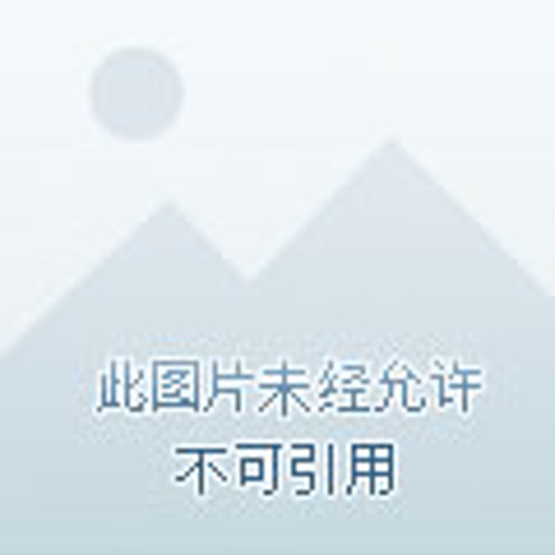工具推荐类：信息发布网站大比拼